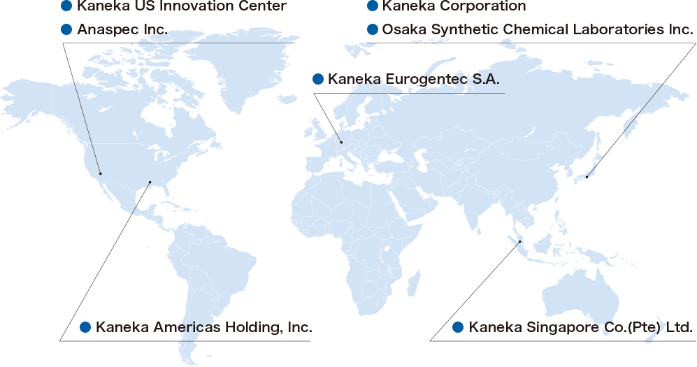 'Global Network Map
