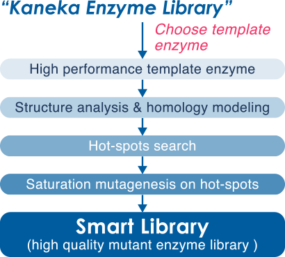 'What is Smart Library?'→Choose template enzyme→High performance template enzyme→Structure analysis & homology modeling→Hot-spots search→Saturation mutagenesis on hot-spots→Smart Library(high quality mutant enzyme library)