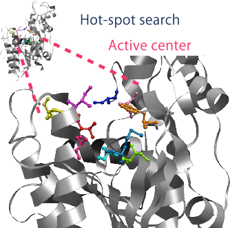 Hot-spot search Active center