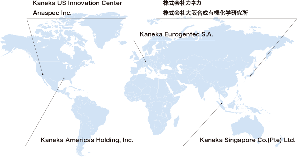 'Global Network Map