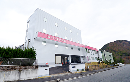 Ako Shimizu Plant