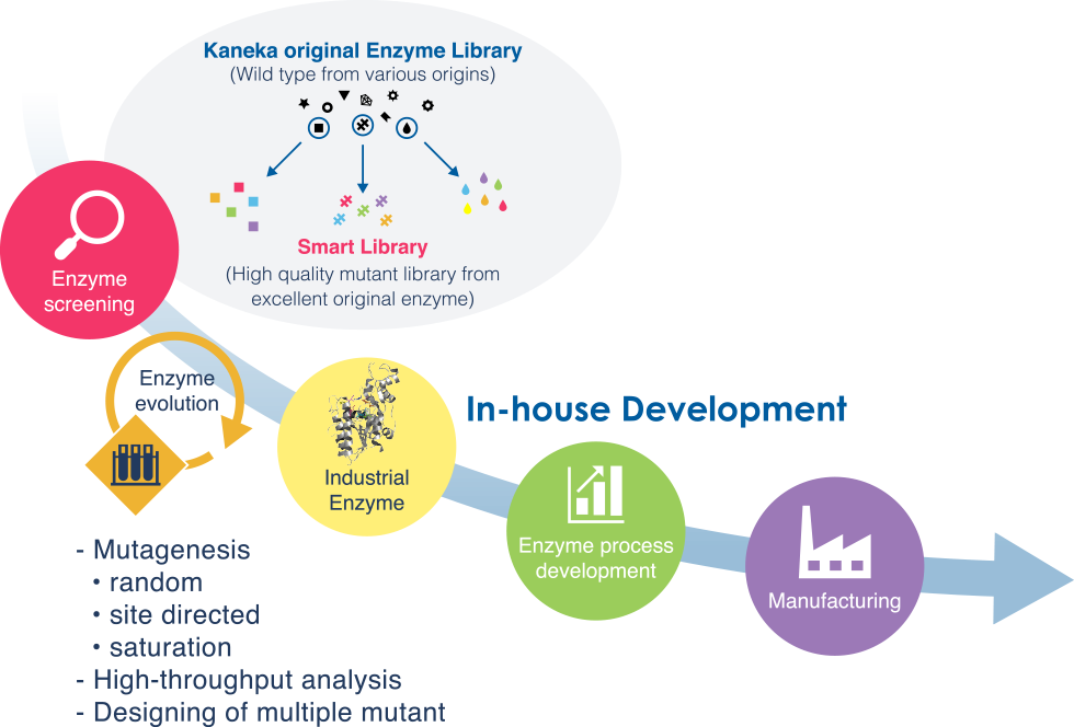 Kaneka’s Enzyme Library expanded with Smart Library