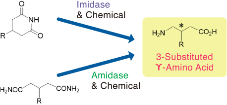 3-Substituted 𝝪-Amino Acid