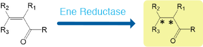 C=C double bond reduction