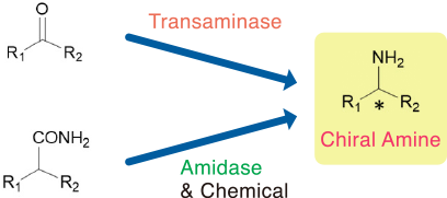 Chiral Amine